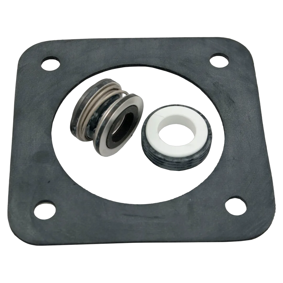 Sta-Rite PP1200 Seal and Gasket Kit for Pumps