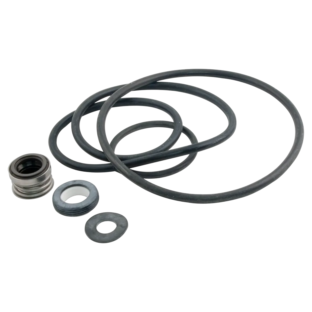 Sta-Rite DynaGlas PP3000 Seal Kit