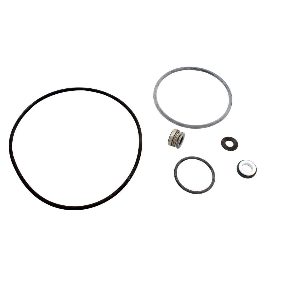 PP4200 Sta-Rite Seal Kit for Pumps