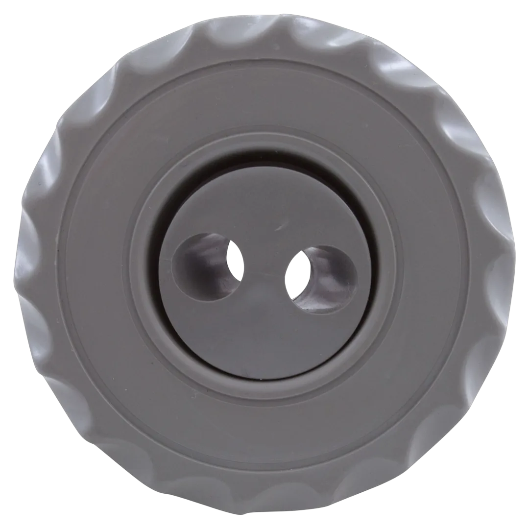 Waterway 224-1047 Gray Jet Internal Twin Roto