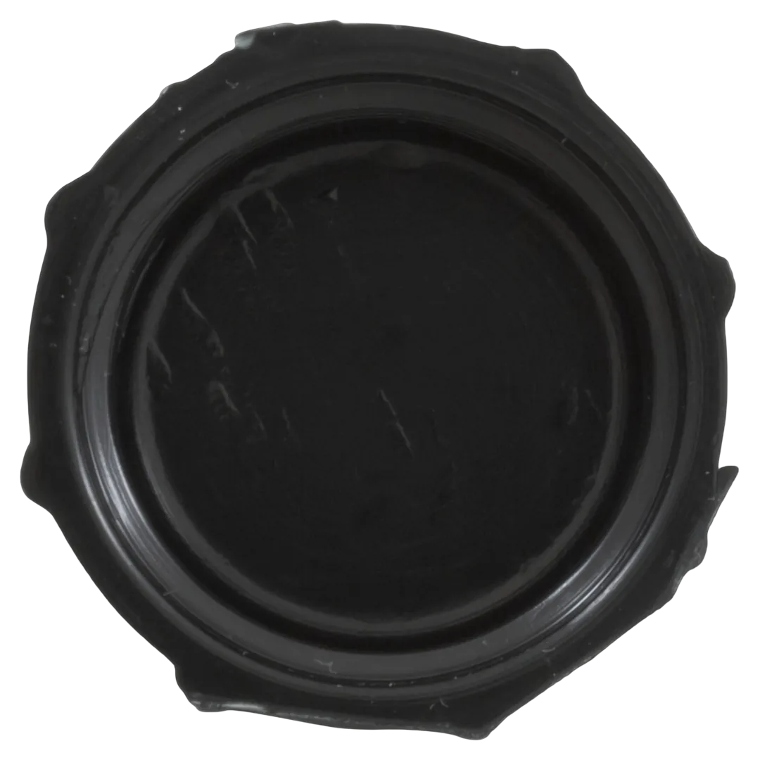 Waterway 519-0231 Drain Cap - Back