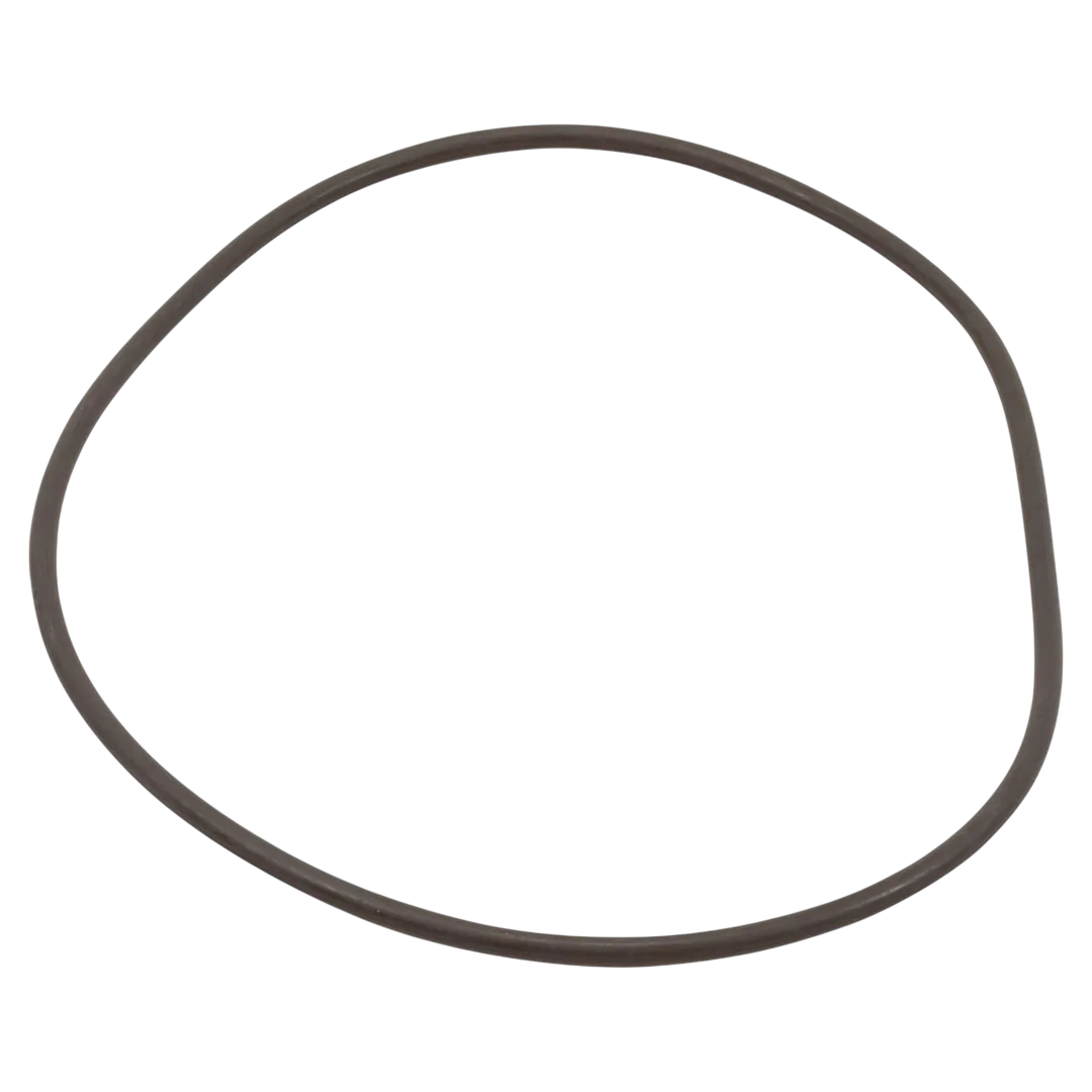 Waterway ProClean Lid O-Ring for Filters