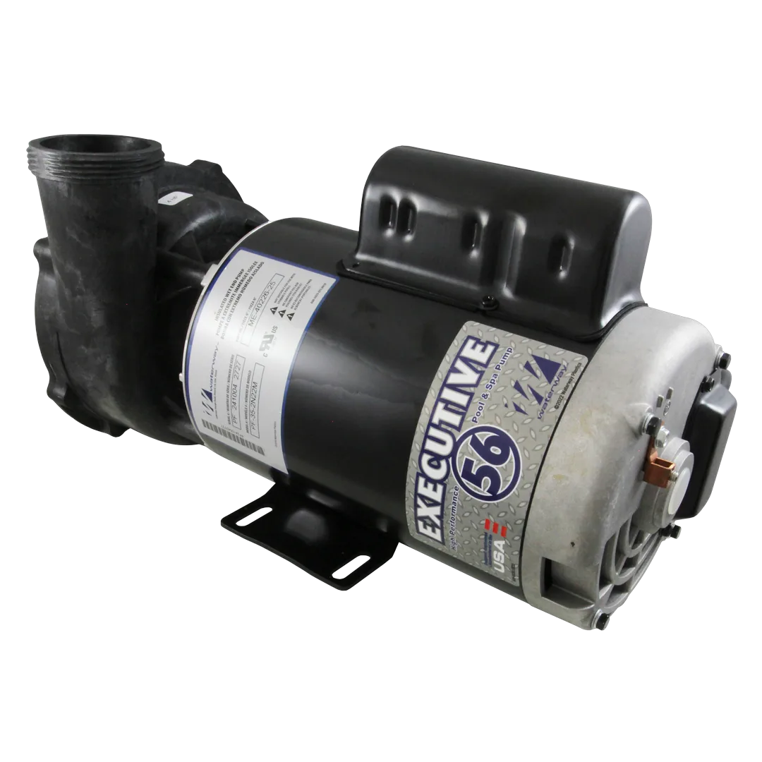 Waterway Executive 4HP 56-Frame 2-Speed Spa Pump