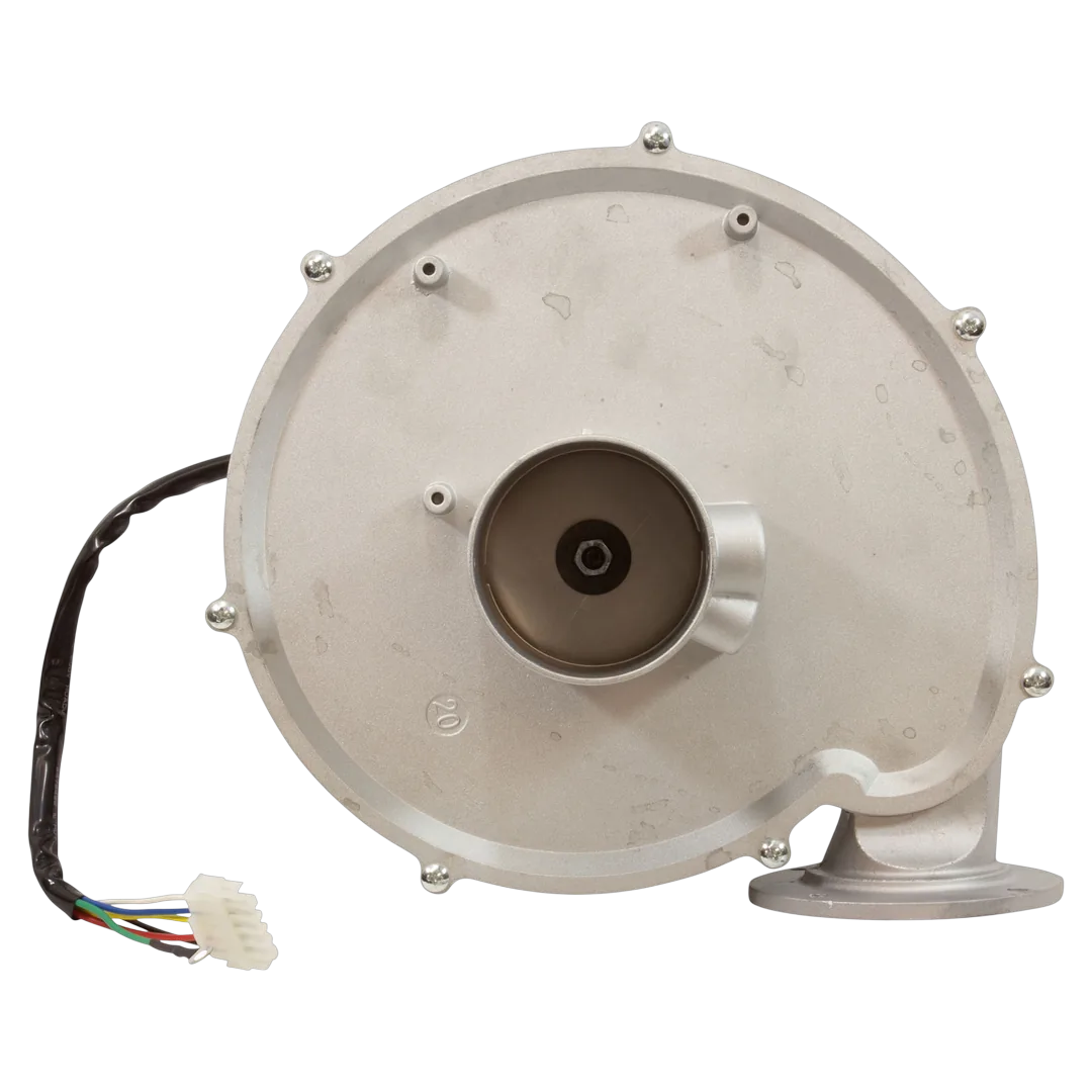 Jandy JXi Blower Assembly R0591100 - Back