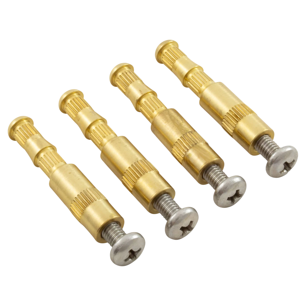 AquaStar Brass Inserts and Screws 4-Pack (BIK4)