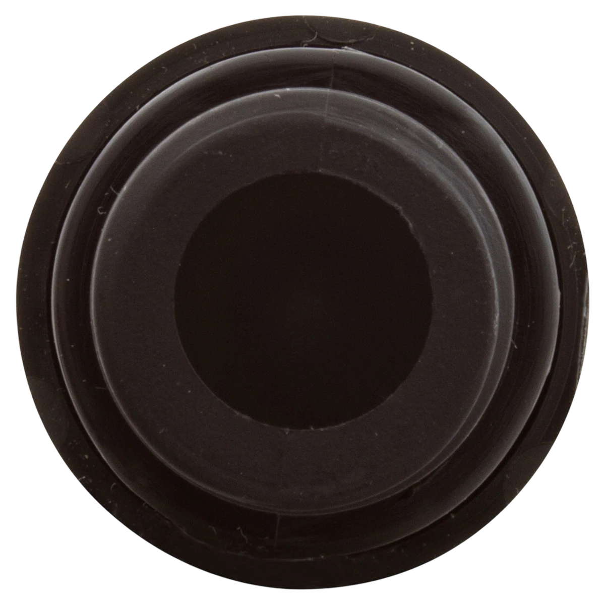AquaStar ChemStar CH100 Check Valve (CH1010) — front view