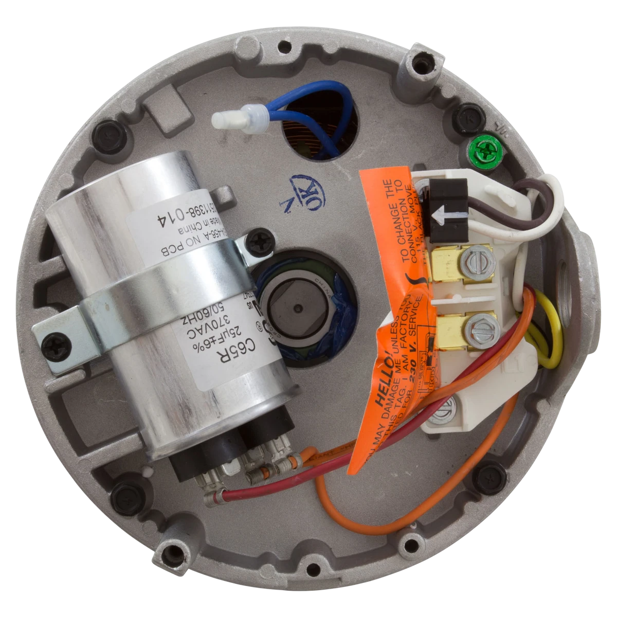 Century 1.5HP Pool Pump Motor (B229SE) — shaft reverse view