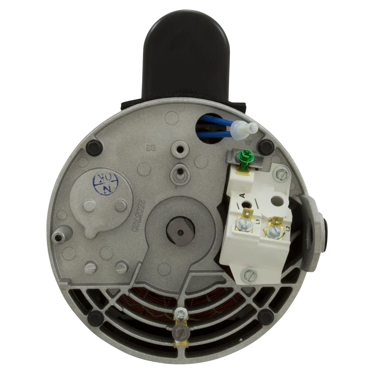 Century Centurion 3 HP Square Flange Pump Motor (B2844) — shaft reverse view