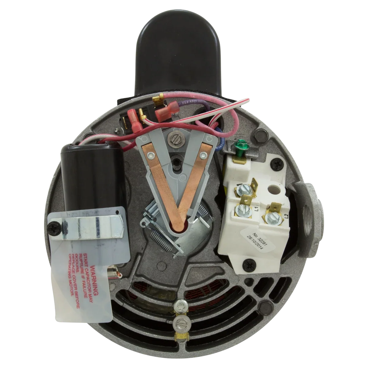 Century Centurion 3/4 HP 2-Speed Pump Motor (B2981) — back view
