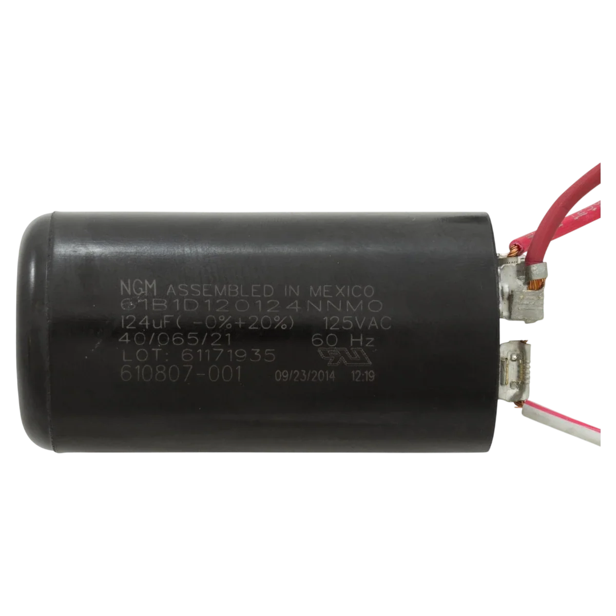 Century Centurion 3/4 HP 2-Speed Pump Motor (B2981) — product label