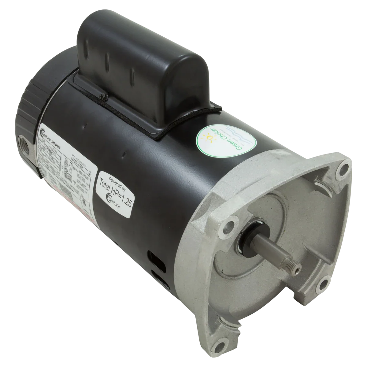 Century Centurion 3/4 HP 2-Speed Pump Motor (B2981)