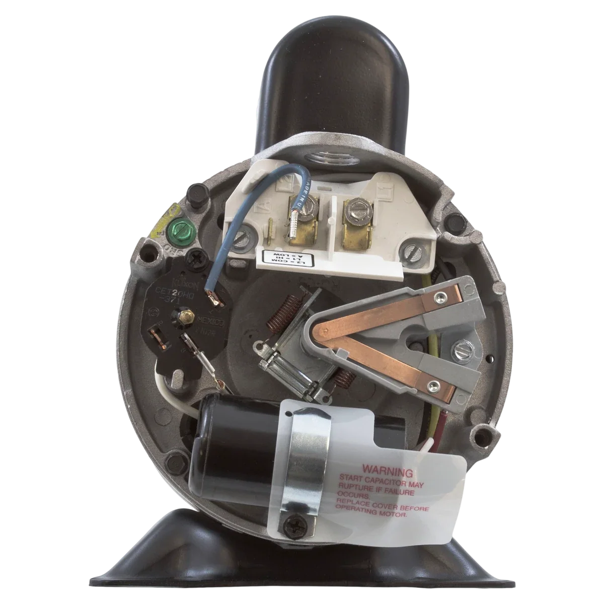 Century Spa Pump Motor 3 HP 56Z (SDS1302) — shaft reverse view
