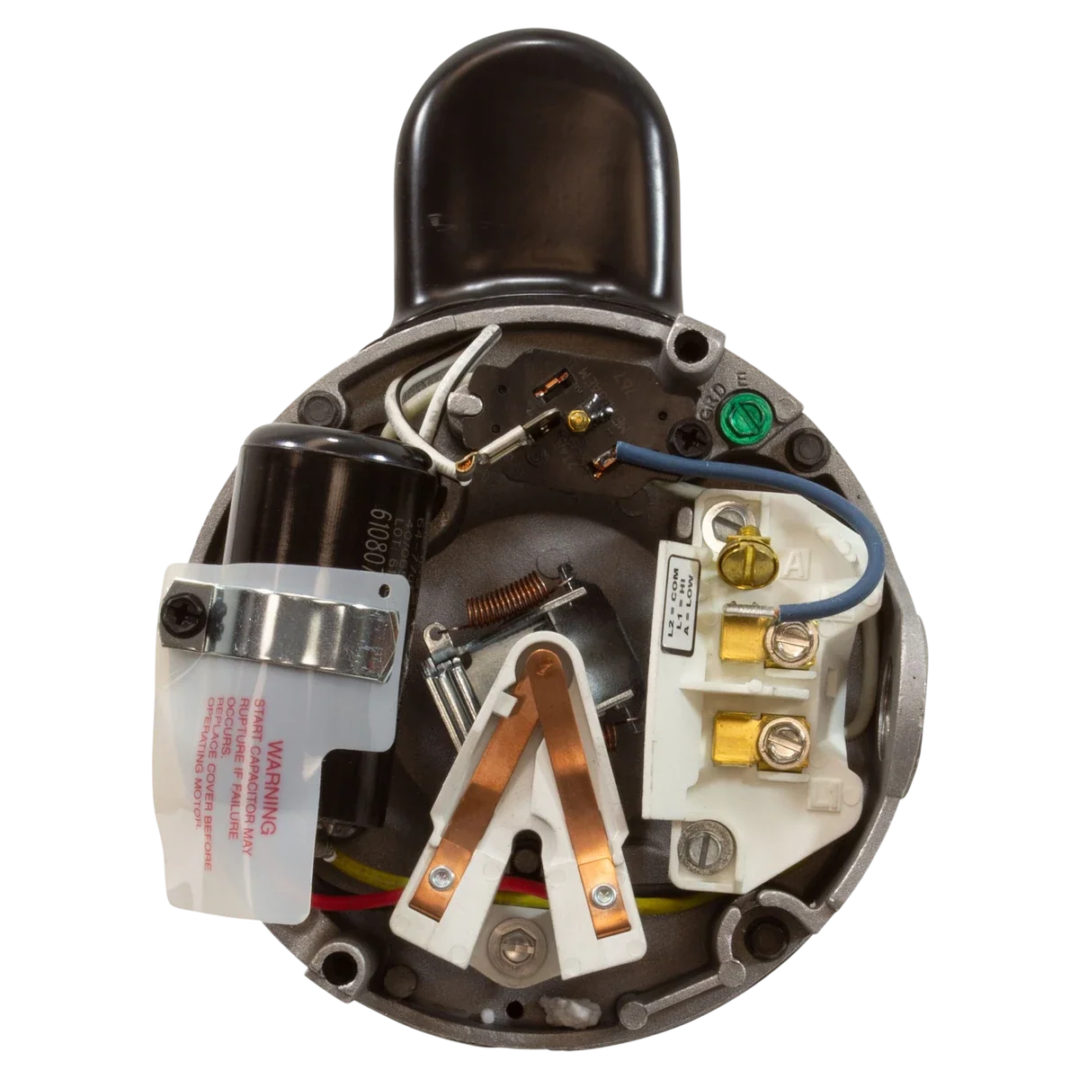 Century Pool Pump Motor Threaded Shaft 1HP 56J (STS1102RV1) — shaft reverse view