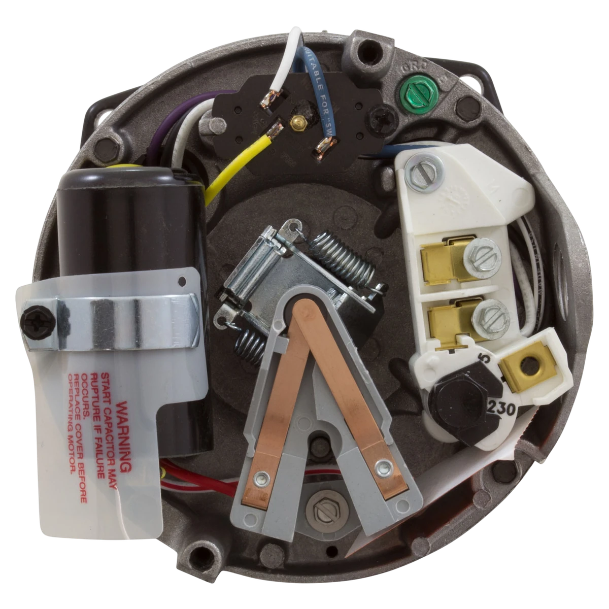 Century 1/2 HP 48Y Square Flange Pump Motor (USQ1052) — shaft reverse view