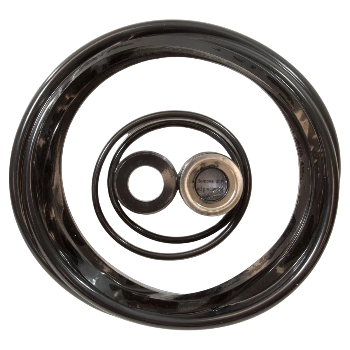 Generic Challenger Pump O-Ring Kit w/ Seal (90-538-2005)
