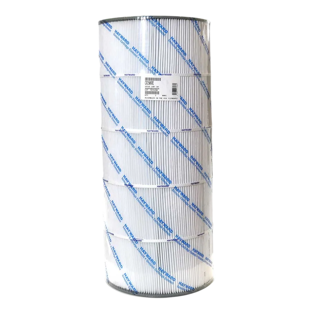 Filter Cartridge for SwimClear C150S