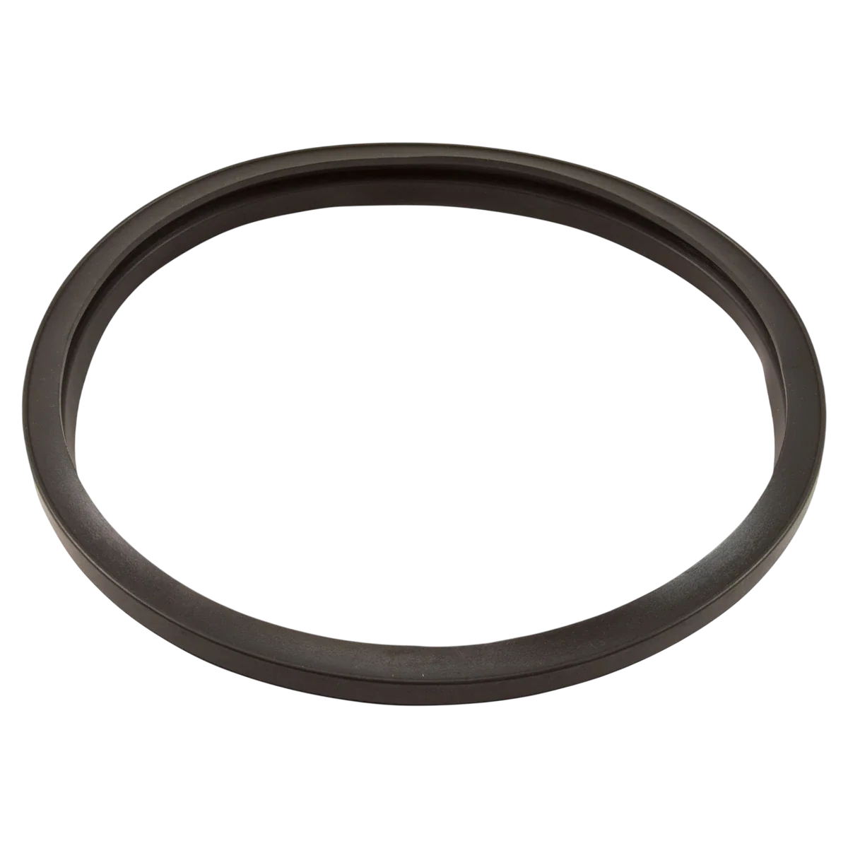 Hayward StarClear Filter Head Gasket (CX250F) — reverse view