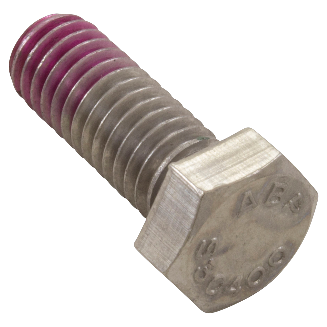 Hayward SPX0125Z44 motor mount bolt