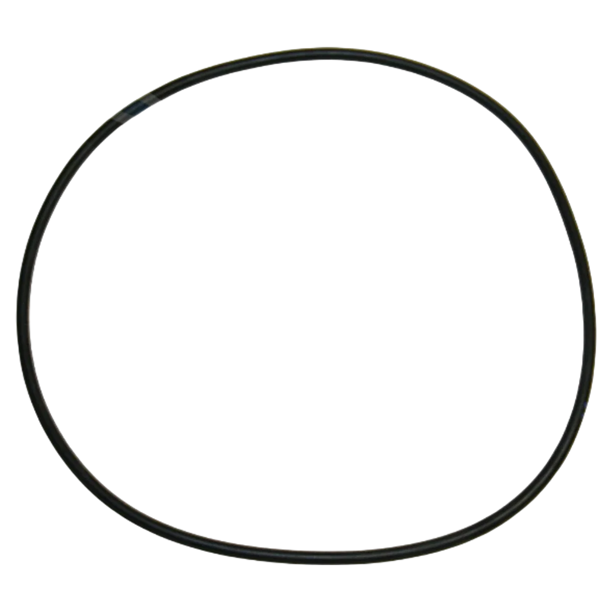 Hayward Power-Flo Housing O-Ring (SPX1580Z1)