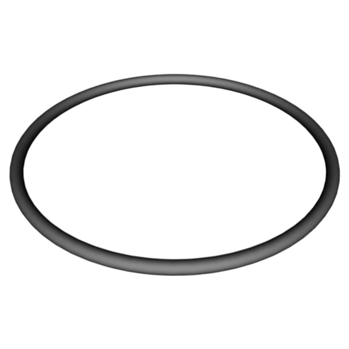 Hayward Super II Strainer Cover O-Ring (SPX3000S)