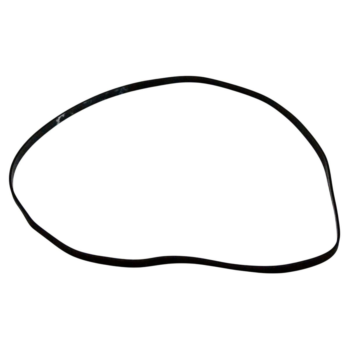 Hayward Super II Pump Housing Gasket (SPX3000T)