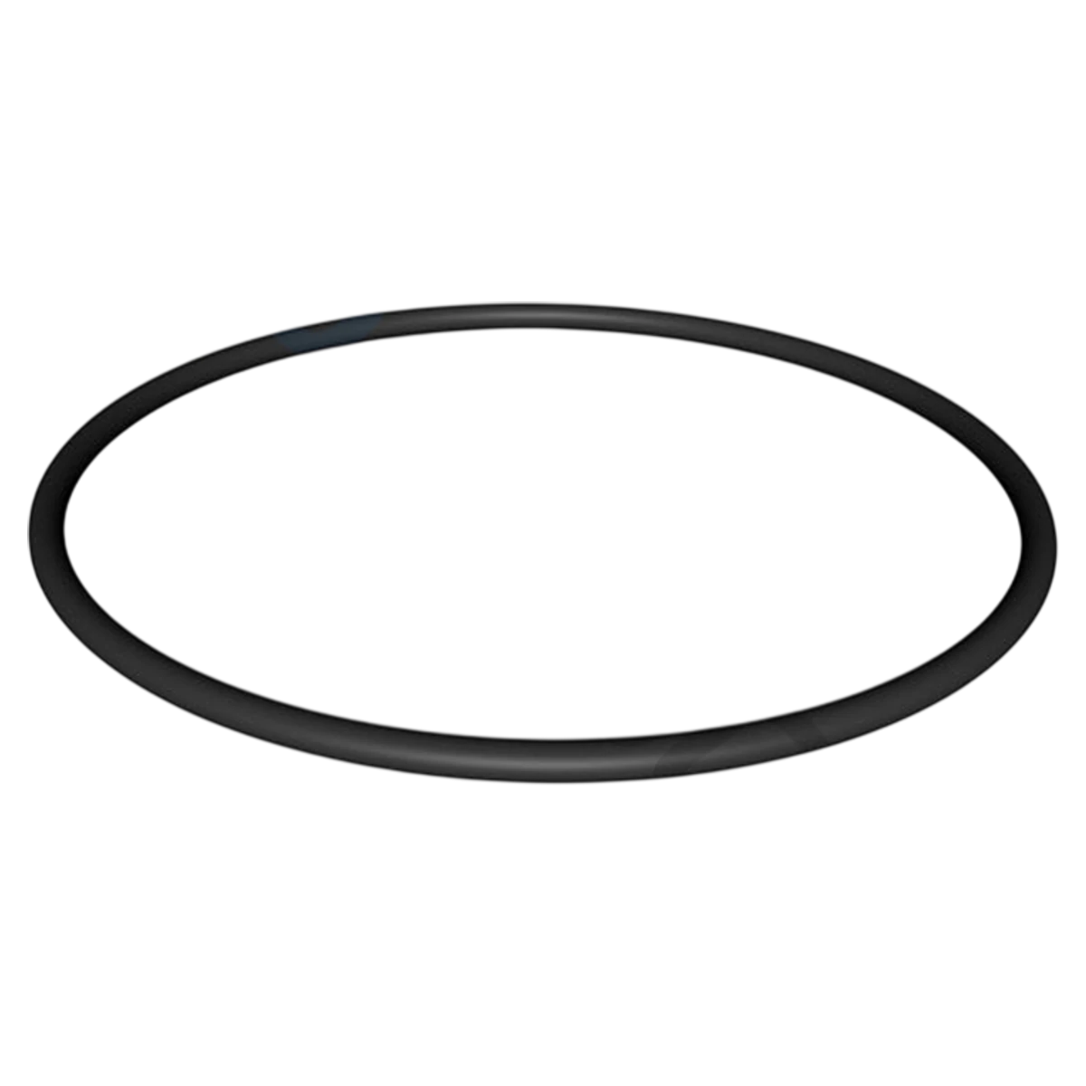 Hayward NorthStar Strainer Cover O-Ring (SPX4000S)