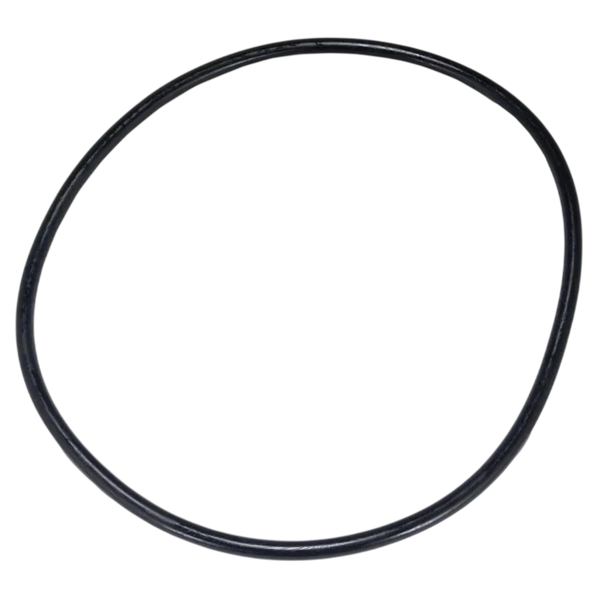 Hayward NorthStar Strainer Cover O-Ring (SPX4000S)