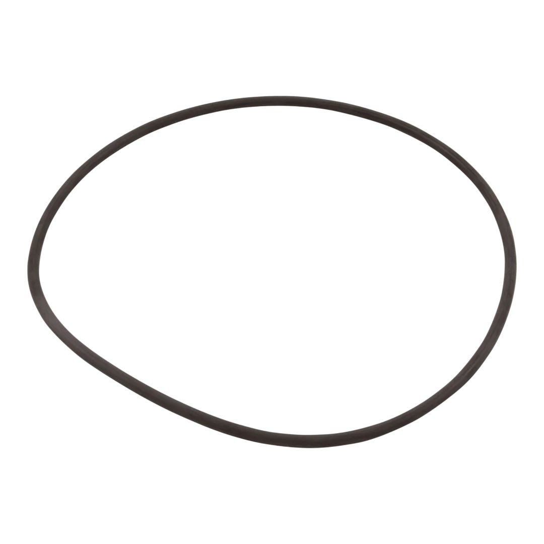 Hayward Star Clear Plus Filter O-Ring, CX900F