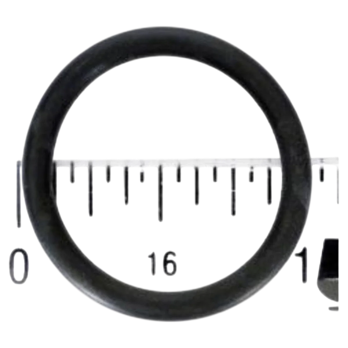 Hayward Filter O-Ring (SX200Z14)