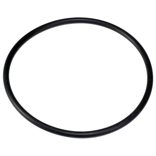 EcoStar/TriStar Strainer Cover O-Ring