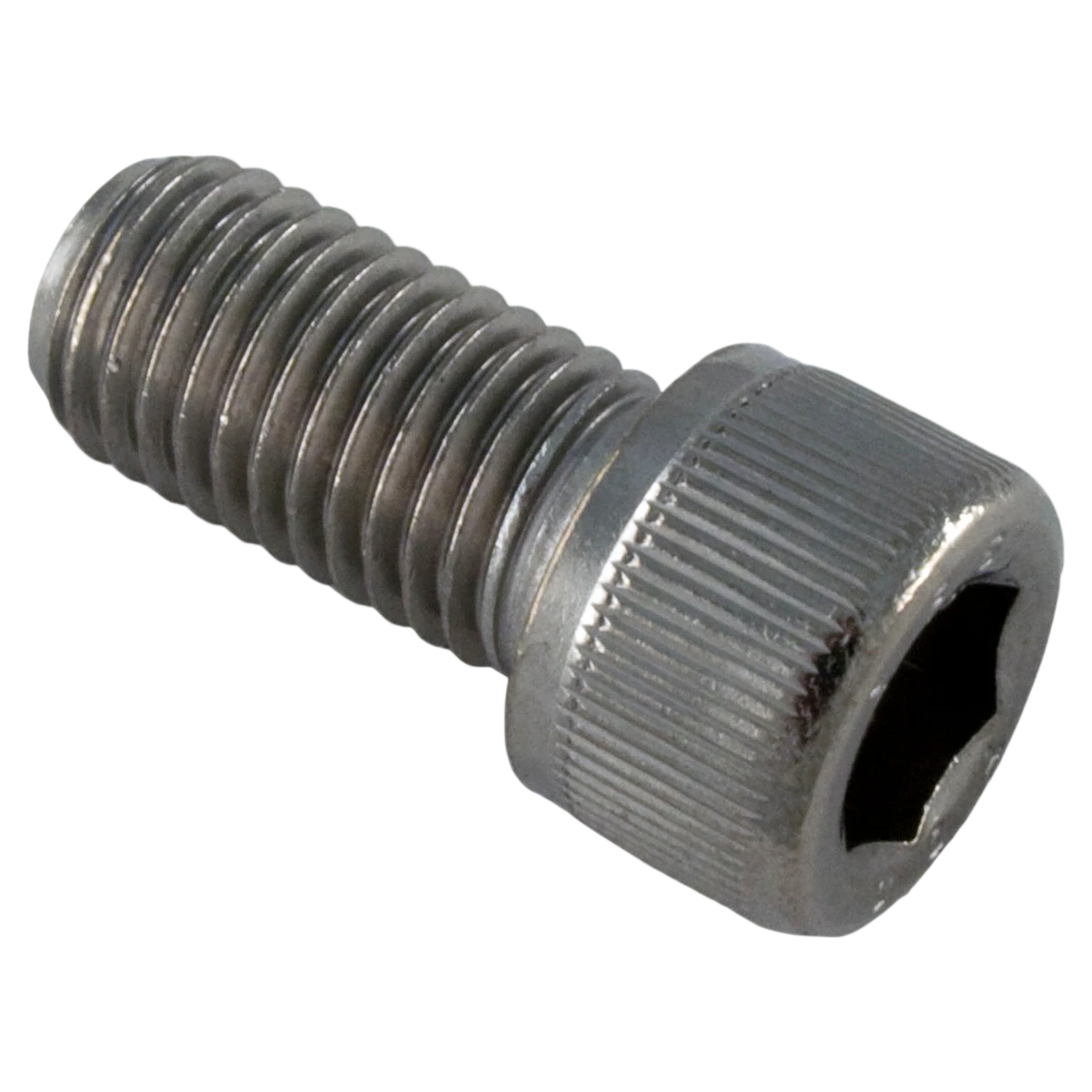 Letro/Pentair Adjustment Screw, Pentair Letro Legend Cleaners, SS (370198)