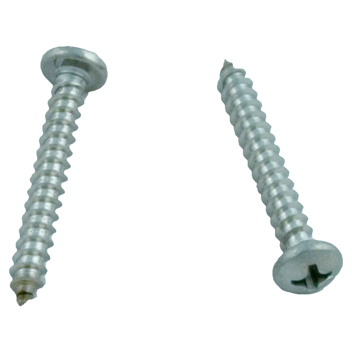 Letro/Pentair Legend Cleaner Shroud Screw 2-Pack (EU80)