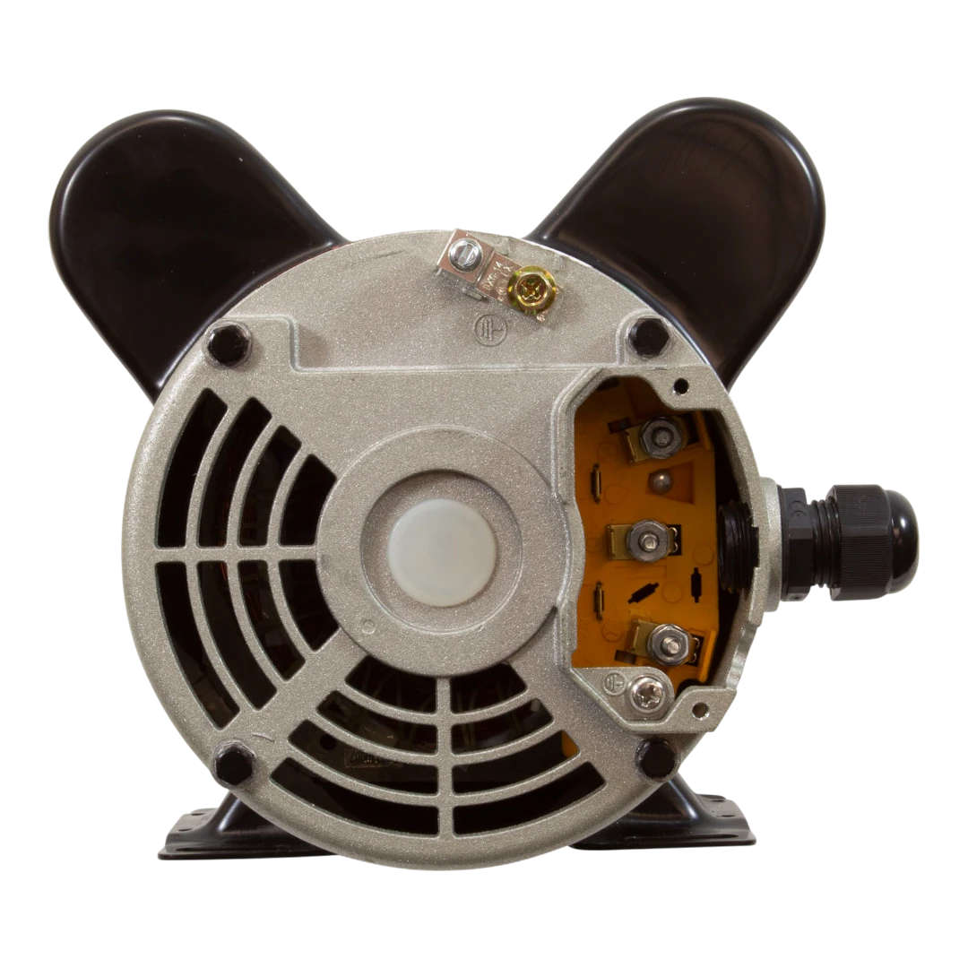 1 HP LX Spa Pump - 2-Speed - 115V