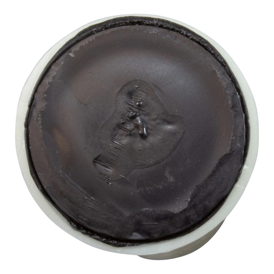 Pentair 152290 Lateral - Back