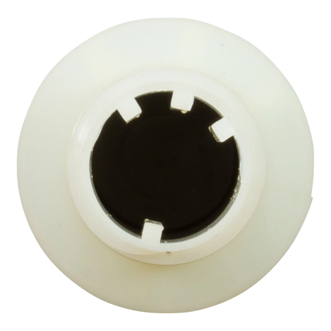 Pentair 152290 Lateral - Front