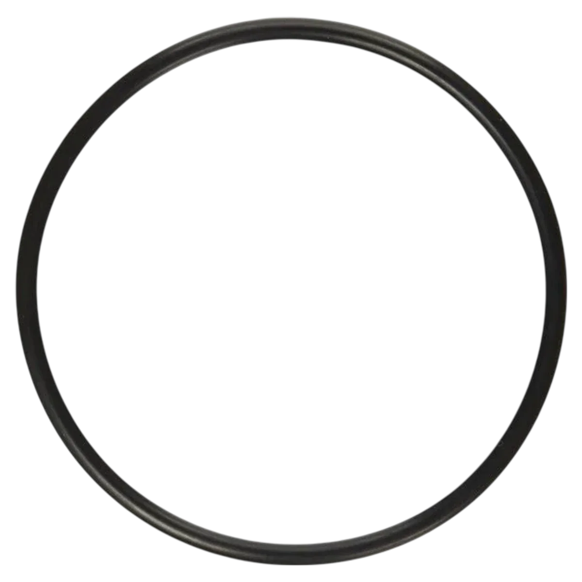 Pentair HiFlow Diverter Shaft O-Ring (272511Z)
