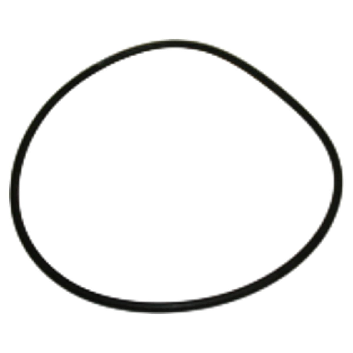 Pentair O-Ring 2-449 Buna N 70 (39006000Z)