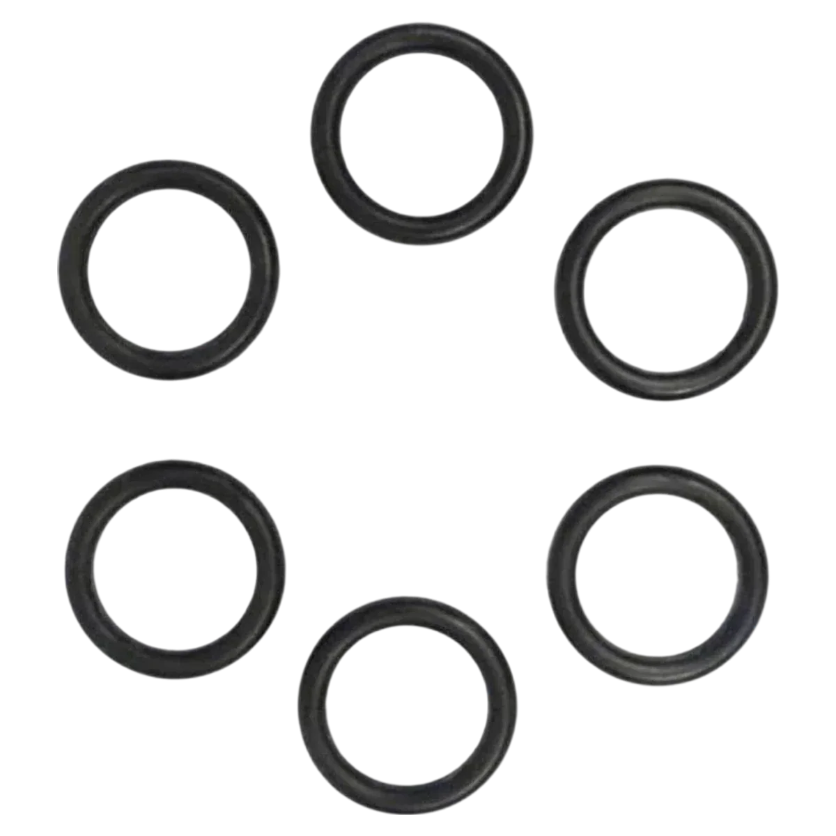 Pentair Coil/Tubesheet Sealing O-Ring Kit (77707-0117)