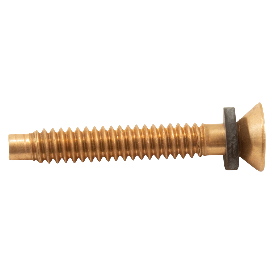 Pentair 79104800 Screw - Side View