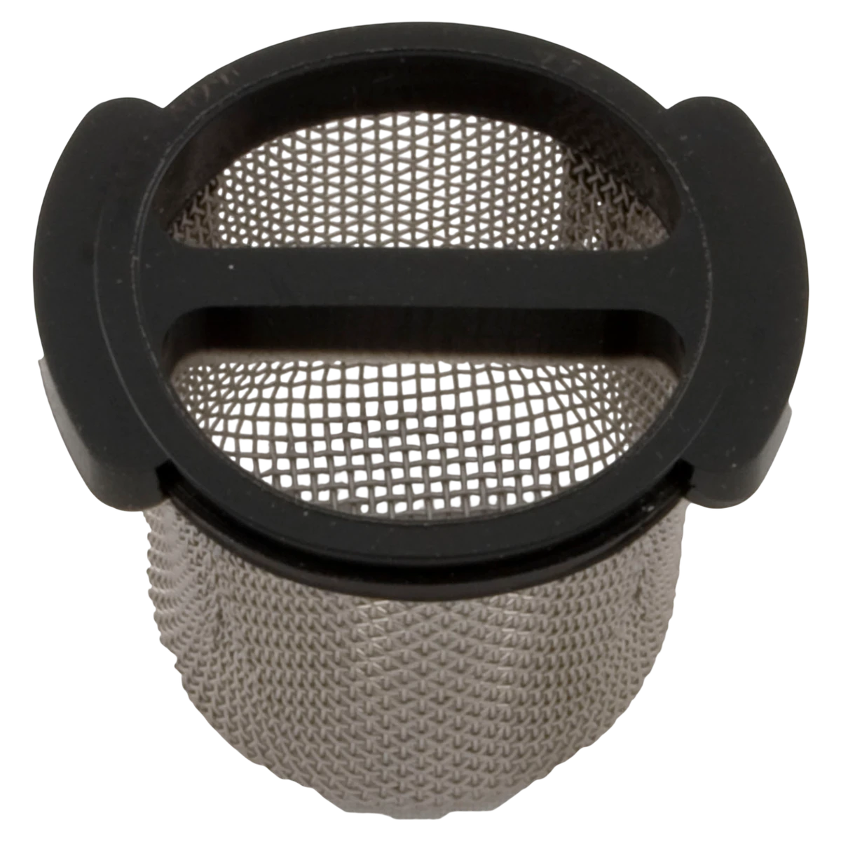 Pentair Wall Fitting Screen E24