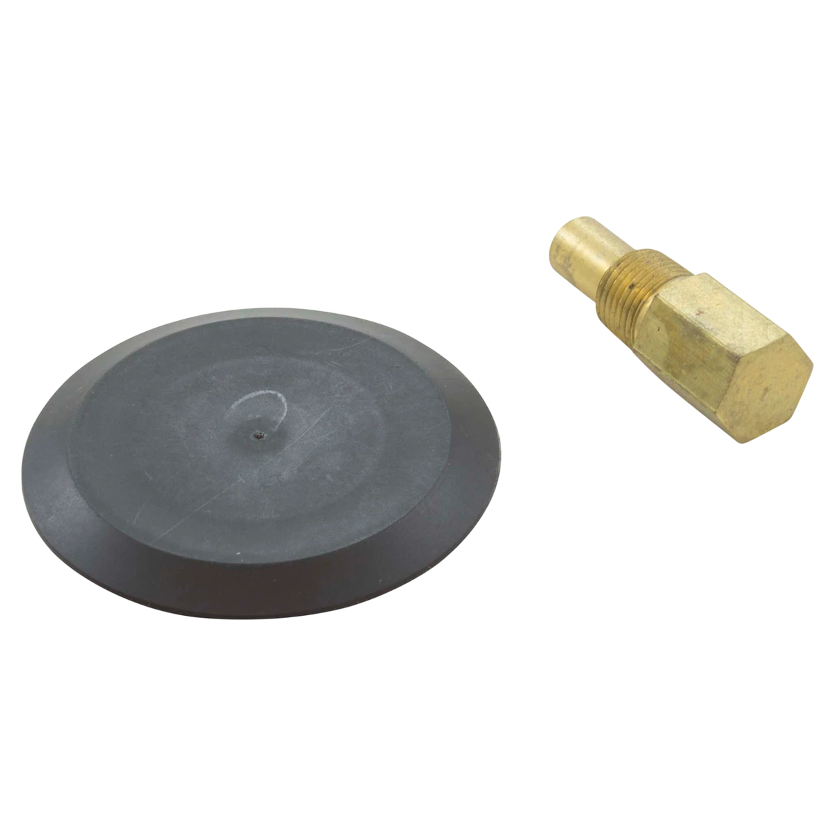 Raypak Rear Drain Plug & Cover Kit (005264F)