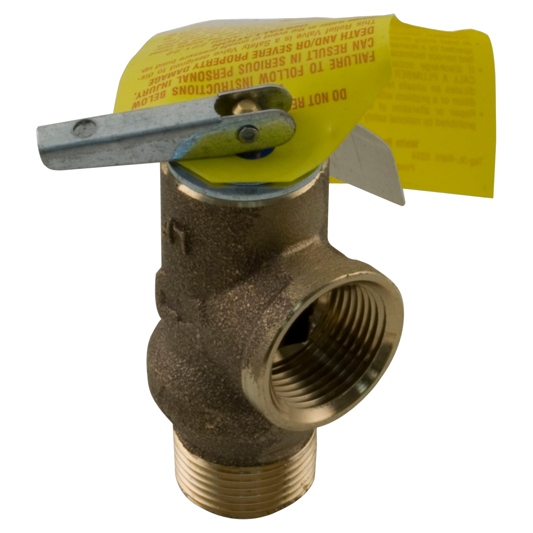 Raypak 008091F Pressure Relief Valve 125 PSI Genuine OEM