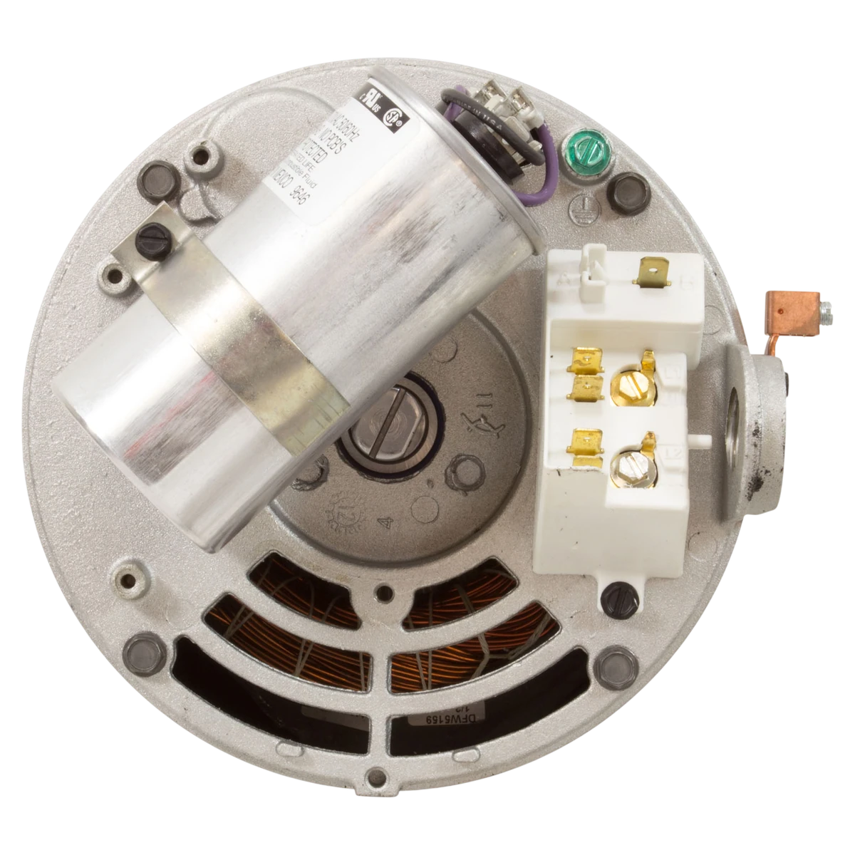 US Motors Aqua-Shield Pump Motor 2 hp 56Y Square Flange (ASB843) — shaft reverse view