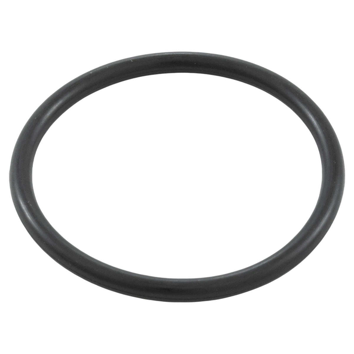 Waterway Union Tailpiece O-Ring (805-0224) — o-ring