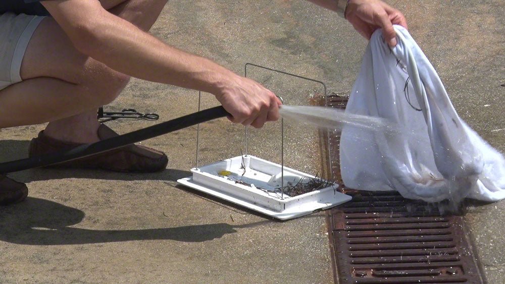 Wave 100 Commercial Pool Cleaner - 98 Foot Swivel Cable and Caddy - EZ Pools