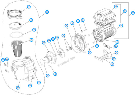 Pentair WhisperFlo VST Pump Replacement Parts