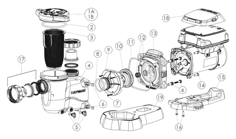 Hayward MaxFlo VS Pump Parts Diagram