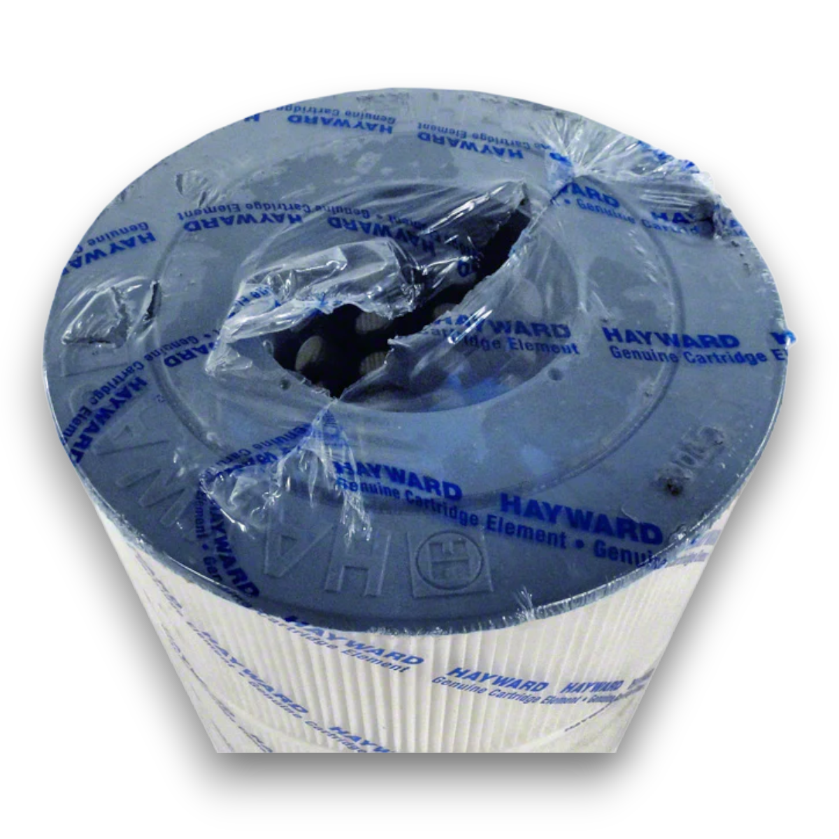 Hayward C150S 150 Sq Ft Replacement Filter for SwimClear C150S CX150