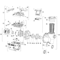 Pentair IntelliFlo3/IntelliPro3 VSF 1.5hp/3.0hp Replacement Parts