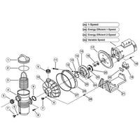 Pentair PacFab Challenger High Pressure Pump Replacement Parts